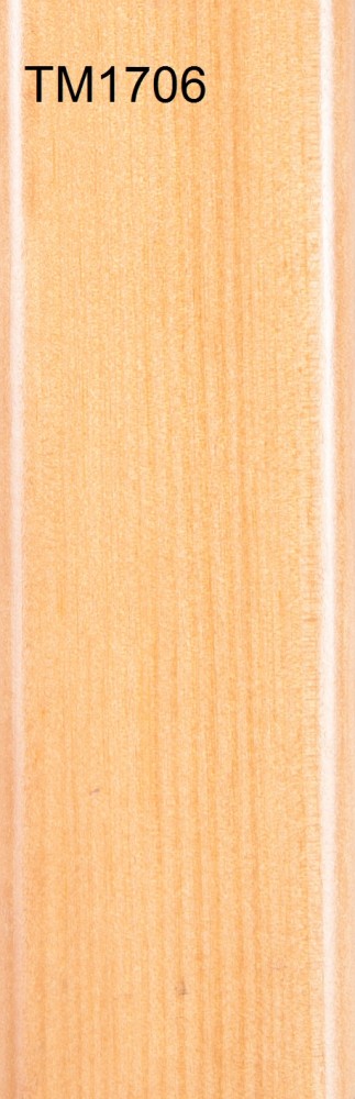 TM1706